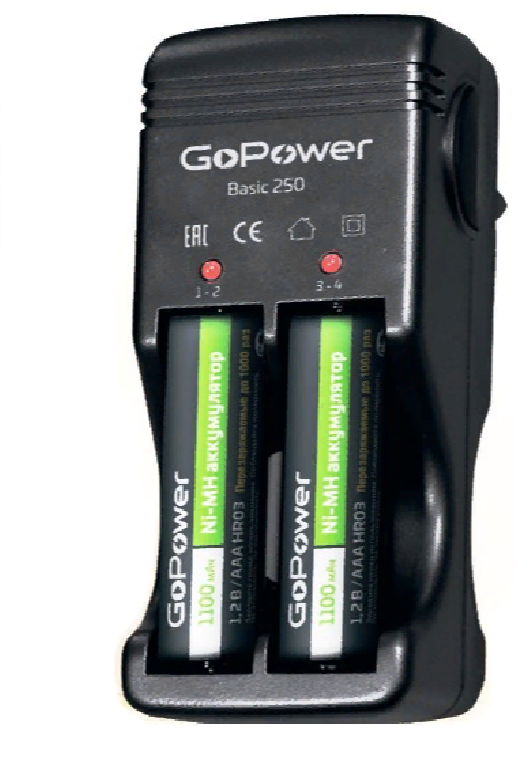 Зарядное устройство GOPOWER Basic 250 00-00015345  от Проммаркет